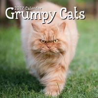 2027 Calendar Grumpy Cats Square Wall, Gifted Stationery GSC27136