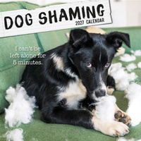 2027 Calendar Dog Shaming Square Wall, Gifted Stationery GSC27139