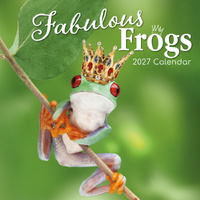2027 Calendar Fabulous Frogs Square Wall, Gifted Stationery GSC27142