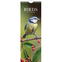 2027 Calendar Birds Slim Wall, Gifted Stationery GSC27265