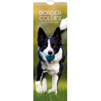 2027 Calendar Paw Prints Border Collies Slim Wall, Gifted Stationery GSC27275
