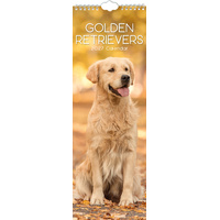 2027 Calendar Paw Prints Golden Retrievers Slim Wall, Gifted Stationery GSC27280