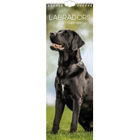 2027 Calendar Paw Prints Labradors Slim Wall, Gifted Stationery GSC27282