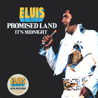 2026 Calendar Collector's Edition Elvis Official Record Sleeve Square Wall, Danilo D74170