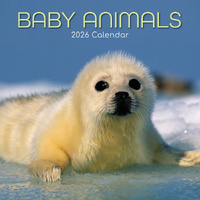 2026 Calendar Baby Animals Square Wall, The Gifted Stationery GSC26056