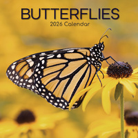 2026 Calendar Butterflies Square Wall, The Gifted Stationery GSC26059