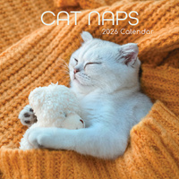 2026 Calendar Cat Naps Square Wall, The Gifted Stationery GSC26060