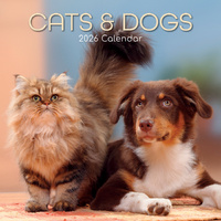 2026 Calendar Cats & Dogs Square Wall, The Gifted Stationery GSC26061