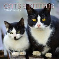 2026 Calendar Cats & Kittens Square Wall, The Gifted Stationery GSC26062