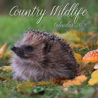 2026 Calendar Country Wildlife Square Wall, The Gifted Stationery GSC26064