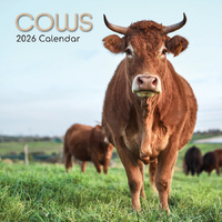 2026 Calendar Cows Square Wall, The Gifted Stationery GSC26065