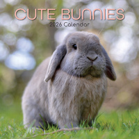 2026 Calendar Cute Bunnies Square Wall, The Gifted Stationery GSC26066