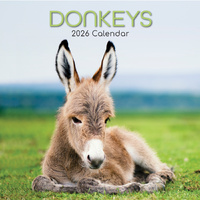 2026 Calendar Donkeys Square Wall, The Gifted Stationery GSC26070