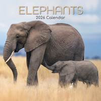2026 Calendar Elephants Square Wall, The Gifted Stationery GSC26071
