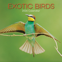 2026 Calendar Exotic Birds Square Wall, The Gifted Stationery GSC26072