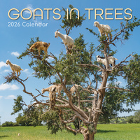 2026 Calendar Goats in Trees Square Wall, The Gifted Stationery GSC26075