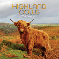 2026 Calendar Highland Cows Square Wall, The Gifted Stationery GSC26079