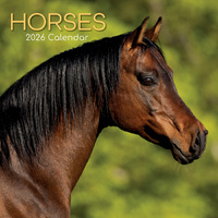 2026 Calendar Horses Square Wall, The Gifted Stationery GSC26080