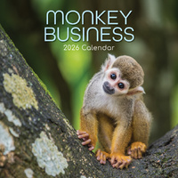 2026 Calendar Monkey Business Square Wall, The Gifted Stationery GSC26083