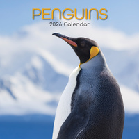 2026 Calendar Penguins Square Wall, The Gifted Stationery GSC26085