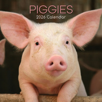 2026 Calendar Piggies Square Wall, The Gifted Stationery GSC26086