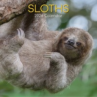 2026 Calendar Sloths Square Wall, The Gifted Stationery GSC26088