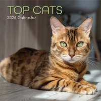 2026 Calendar Top Cats Square Wall, The Gifted Stationery GSC26090