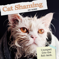 2026 Calendar Cat Shaming Square Wall, The Gifted Stationery GSC26092
