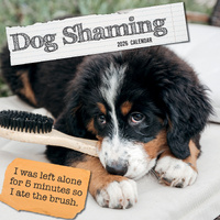 2026 Calendar Dog Shaming Square Wall, The Gifted Stationery GSC26093