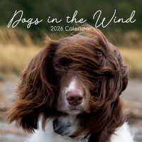 2026 Calendar Dogs in the Wind Square Wall, The Gifted Stationery GSC26095