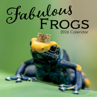 2026 Calendar Fabulous Frogs Square Wall, The Gifted Stationery GSC26096