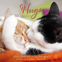 2026 Calendar Hugs Square Wall, The Gifted Stationery GSC26100