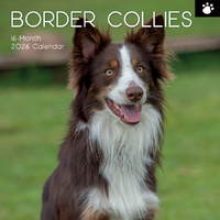 2026 Calendar Paw Prints Border Collies 16-Month Square Wall, The Gifted Stationery GSC26104