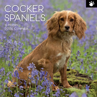 2026 Calendar Paw Prints Cocker Spaniels 16-Month Square Wall, The Gifted Stationery GSC26109