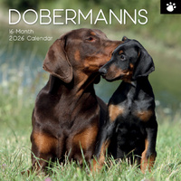 2026 Calendar Paw Prints Dobermans 16-Month Square Wall, The Gifted Stationery GSC26112