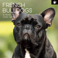 2026 Calendar Paw Prints French Bulldogs 16-Month Square Wall, The Gifted Stationery GSC26113
