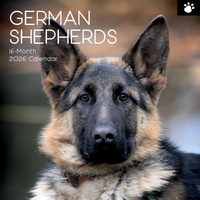 2026 Calendar Paw Prints German Shepherds 16-Month Square Wall, The Gifted Stationery GSC26114
