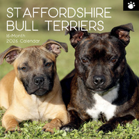 2026 Calendar Paw Prints Staffordshire Bull Terriers 16-Month Square Wall, The Gifted Stationery GSC26121