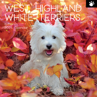 2026 Calendar Paw Prints West Highland White Terriers 16-Month Square Wall, The Gifted Stationery GSC26122