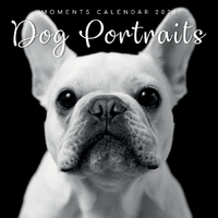 2026 Calendar Moments Dog Portraits Square Wall, The Gifted Stationery GSC26171