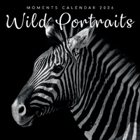 2026 Calendar Moments Wild Portraits Square Wall, The Gifted Stationery GSC26176