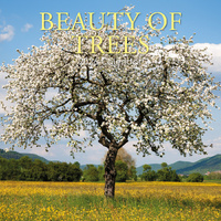2026 Calendar Beauty of Trees Square Wall, The Gifted Stationery GSC26180