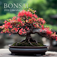 2026 Calendar Bonsai Square Wall, The Gifted Stationery GSC26182