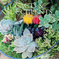 2026 Calendar Cacti & Succulents Square Wall, The Gifted Stationery GSC26183