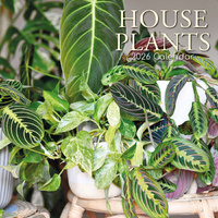 2026 Calendar House Plants Square Wall, The Gifted Stationery GSC26188