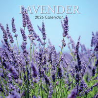 2026 Calendar Lavender Square Wall, The Gifted Stationery GSC26189
