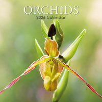 2026 Calendar Orchids Square Wall, The Gifted Stationery GSC26190