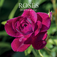 2026 Calendar Roses Square Wall, The Gifted Stationery GSC26191