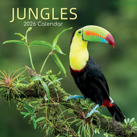 2026 Calendar Jungles Square Wall, The Gifted Stationery GSC26274