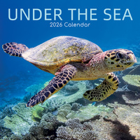 2026 Calendar Under the Sea Square Wall, The Gifted Stationery GSC26283